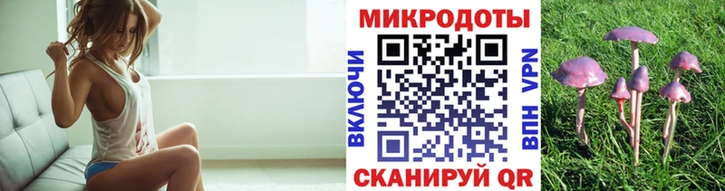 mega как войти  Лабинск  Галлюциногенные грибы Psilocybine cubensis 